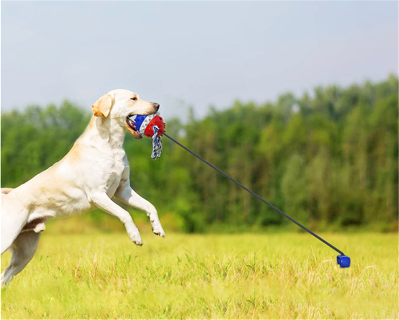 Dog Bite Resistant Outdoor Strong Draw Rope Ball
