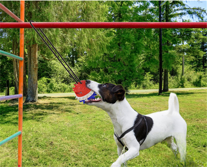 Dog Bite Resistant Outdoor Strong Draw Rope Ball