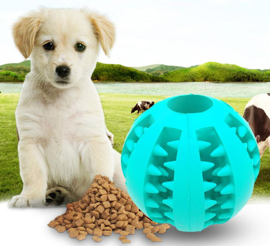 Pet food ball
